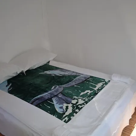 Apartament Pansion Nargalic