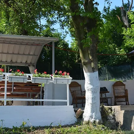 Apartament Pansion Nargalic
